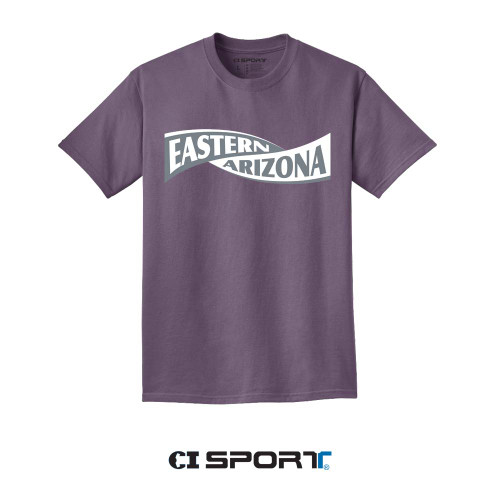 Beach Wash Vintage Plum Tee