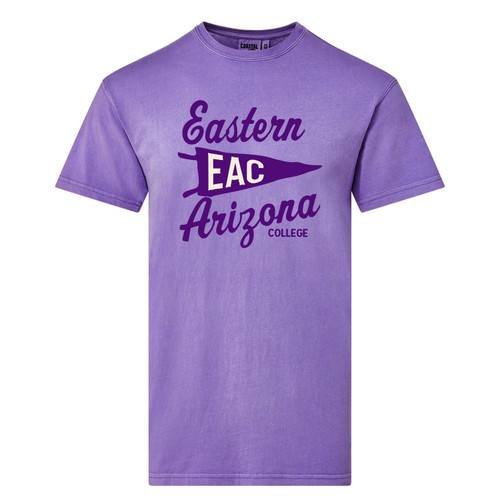 Imperial Purple Pennant Tee