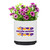 Bloom Ceramic Planter