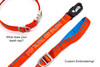 Tangerine Orange Leash