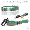 Silver Sage Leash