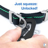 Verde Black Leash