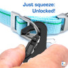 Narragansett Blue Leash