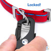 Superhero Red Leash