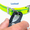 Highlighter Yellow Leash