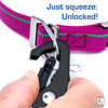 Heritage Raspberry Leash