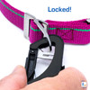 Heritage Raspberry Leash