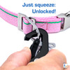 Nantucket Pink Leash