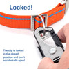 Nantucket Pink Leash