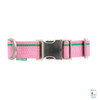 Nantucket Pink Collar