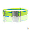Highlighter Yellow Collar