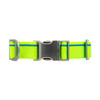 Highlighter Yellow Collar