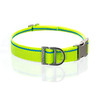 Highlighter Yellow Collar