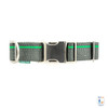 Silver Sage Collar