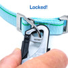 Narragansett Blue Leash & Collar Combo