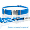Bermuda Blue Collar