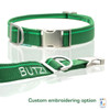 Grass Green Collar
