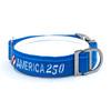 America 250 Blue Collar