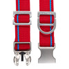 America 250 Red Collar