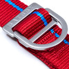 America 250 Red Collar