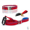 America 250 Red Leash & Collar Combo