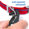 America 250 Red Leash & Collar Combo