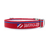 America 250 Red Leash & Collar Combo