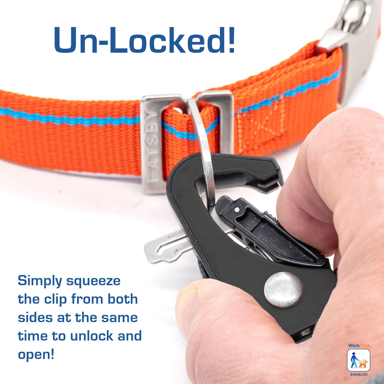 Tangerine Orange Leash