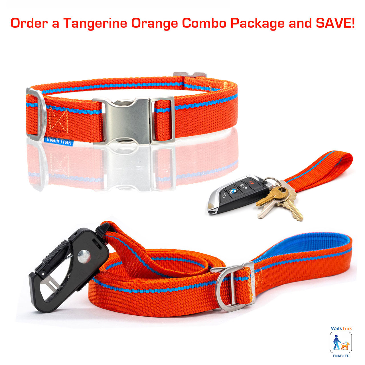 Tangerine Orange Leash