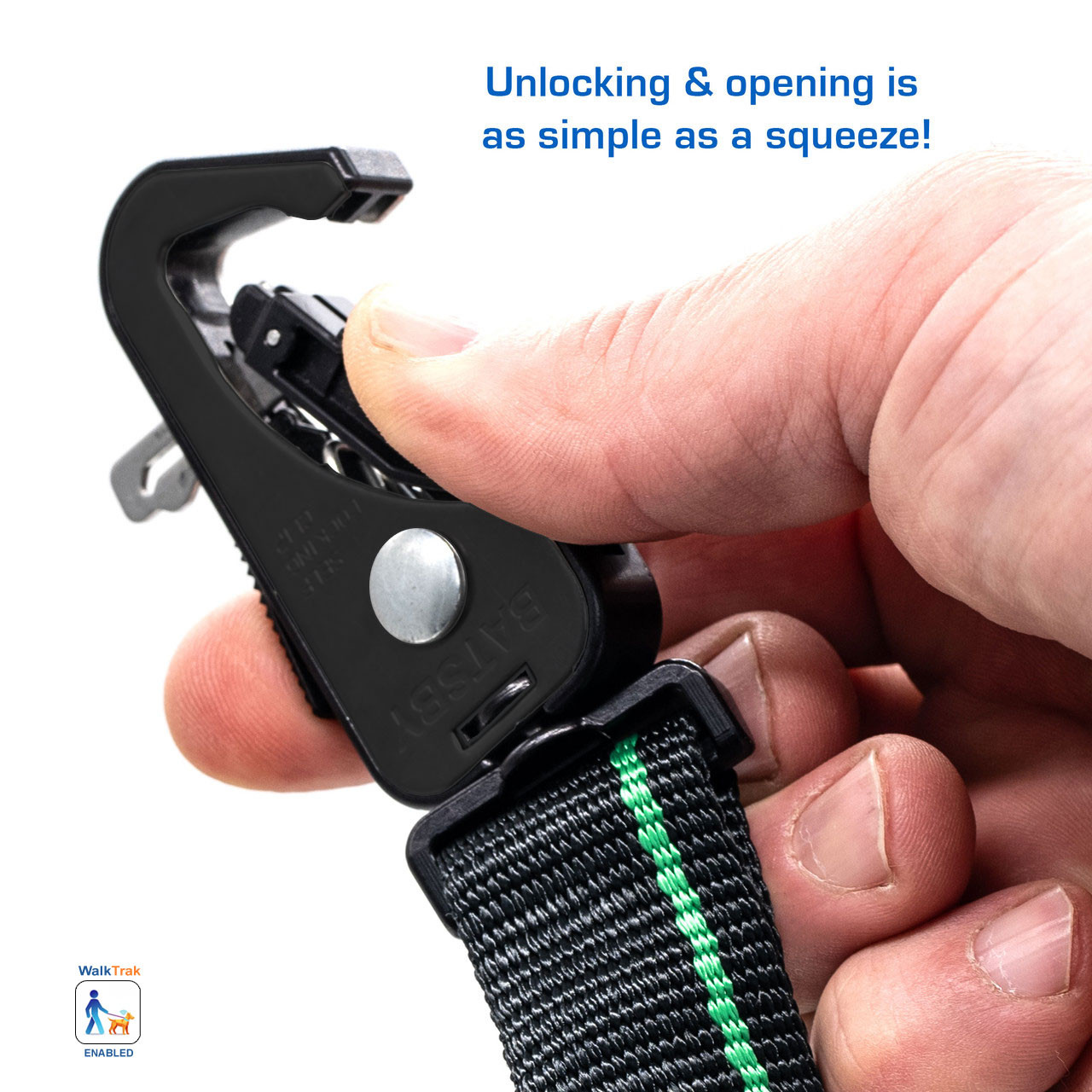 Verde Black Leash
