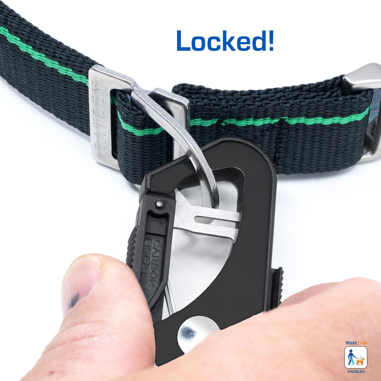 Verde Black Leash
