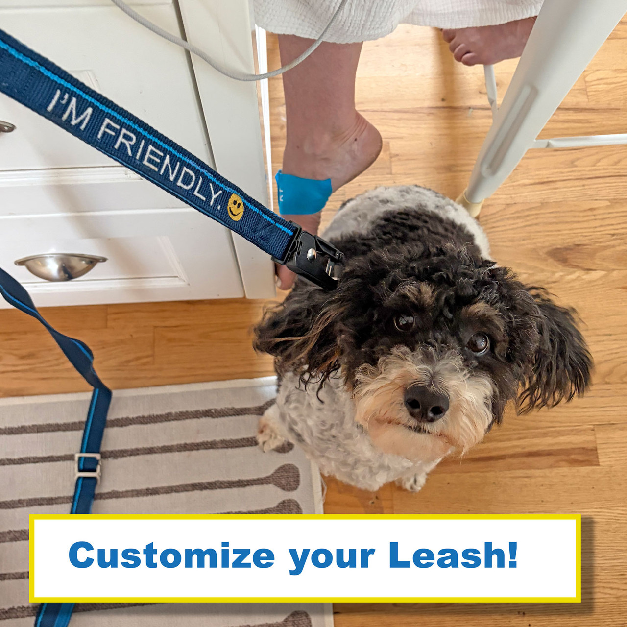 Narragansett Blue Leash