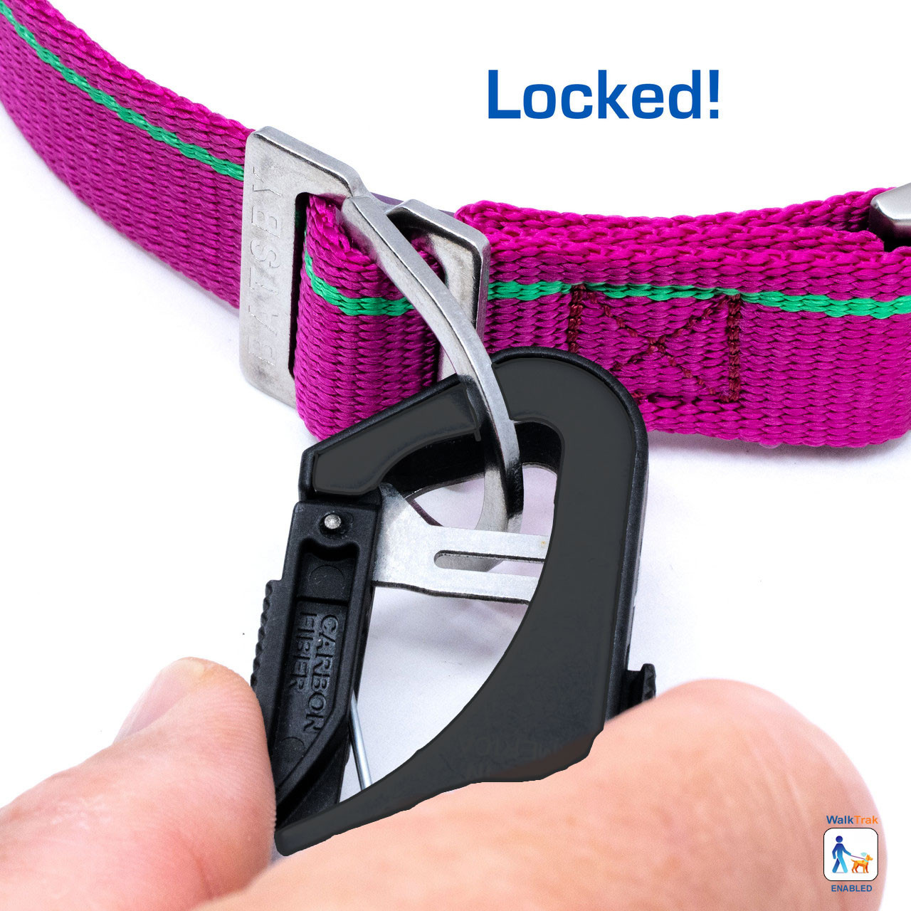 Heritage Raspberry Leash