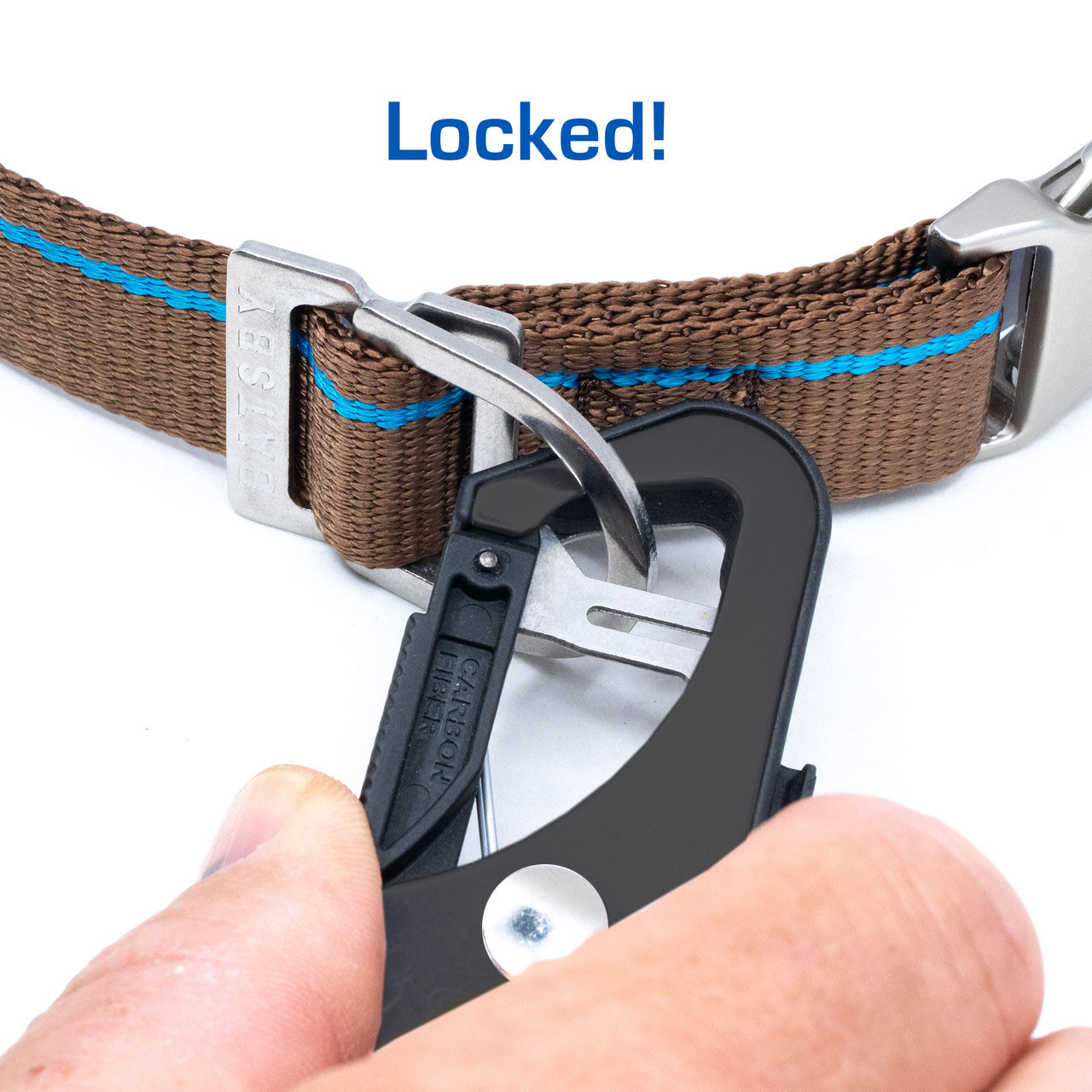 Timber Brown Leash