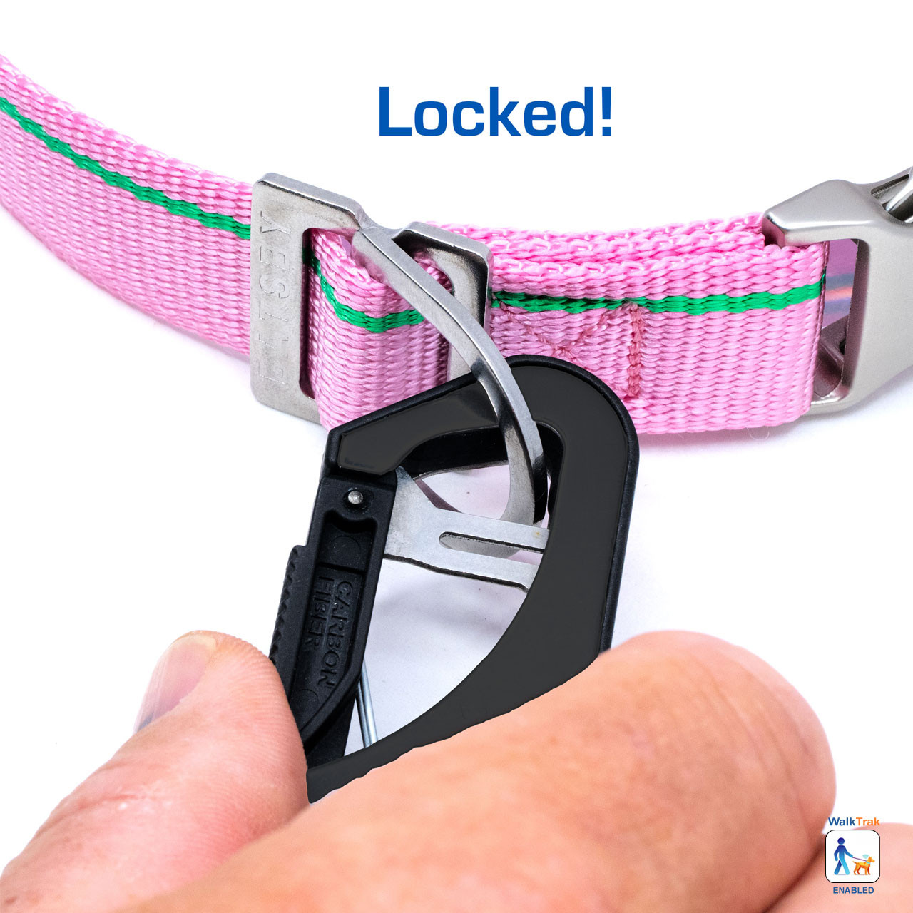 Nantucket Pink Leash
