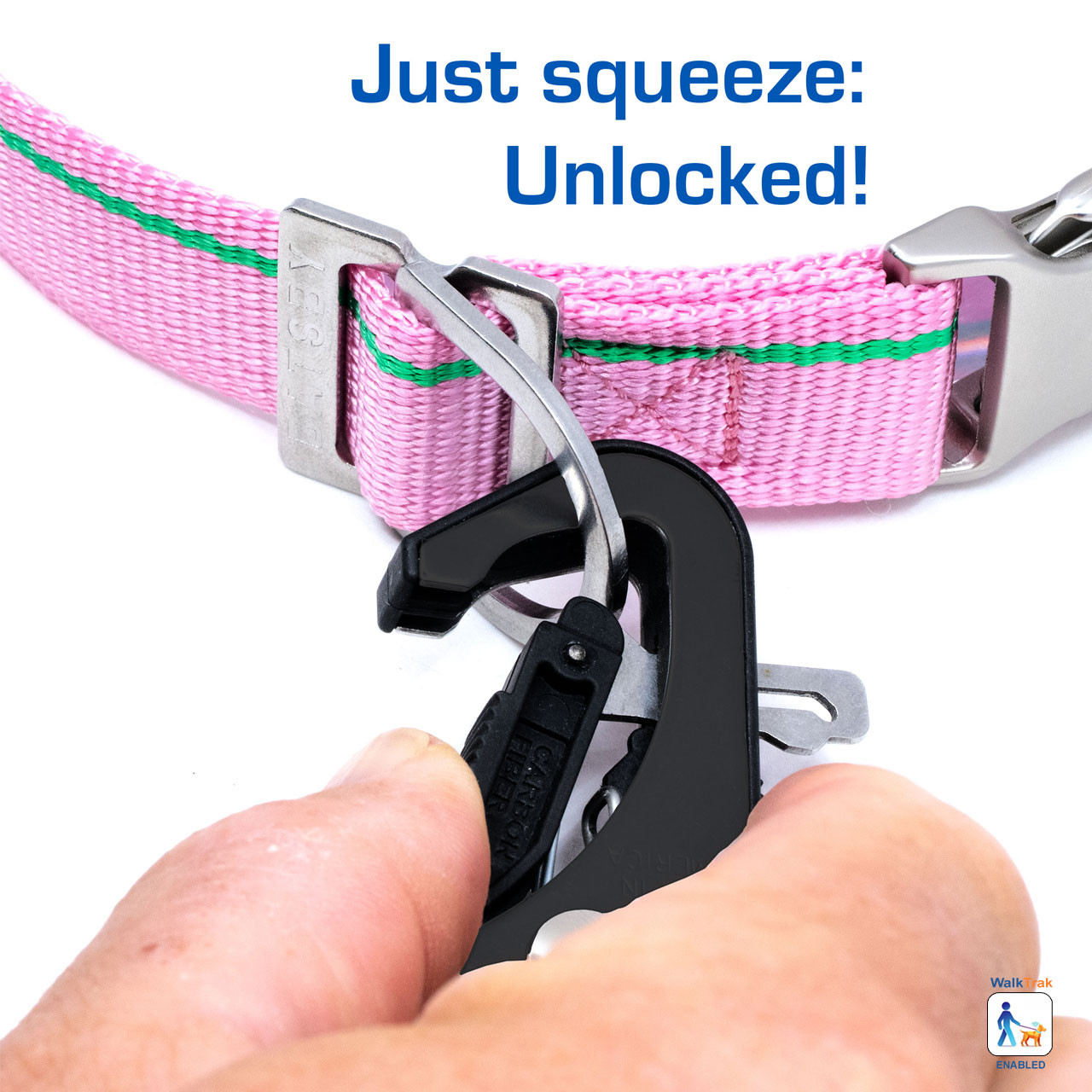Nantucket Pink Leash