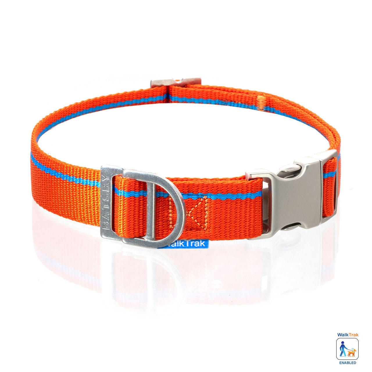 Tangerine Orange Collar