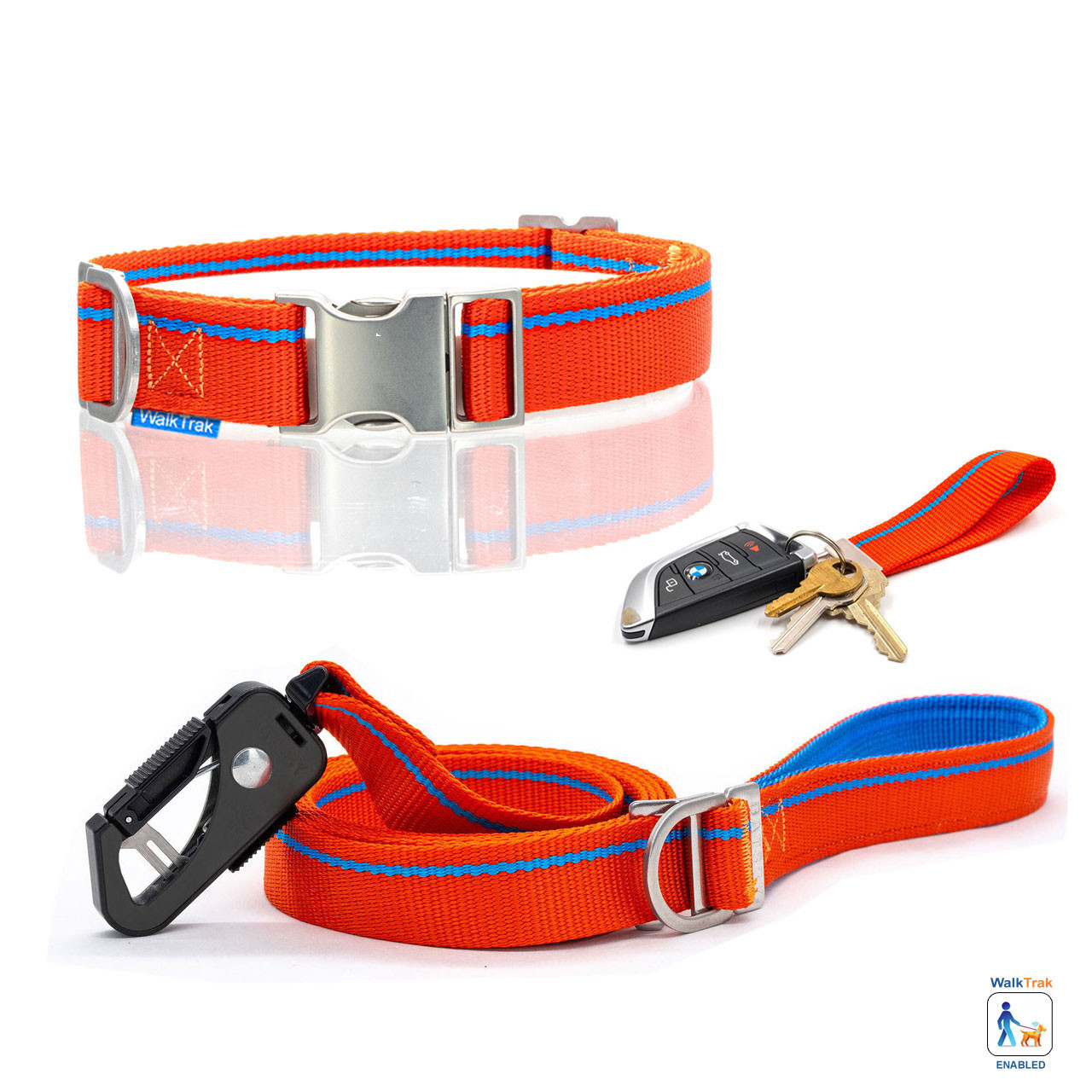 Tangerine Orange Leash & Collar Combo