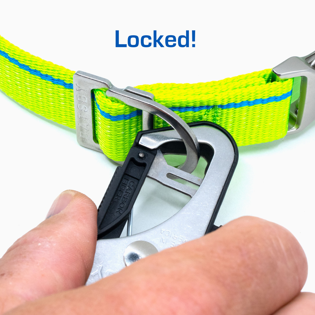 Highlighter Yellow Leash & Collar Combo