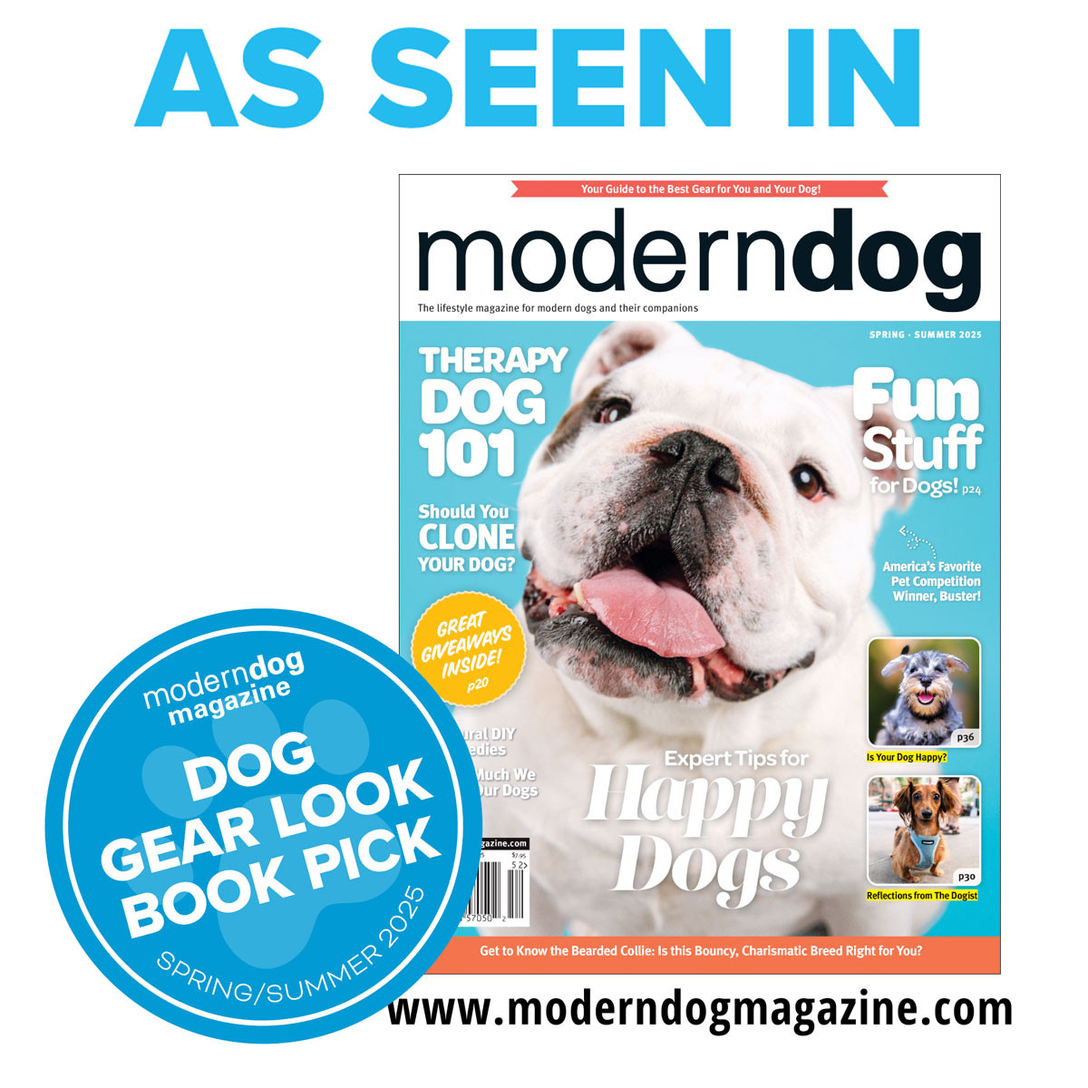 Timber & Tangerine Color Combo