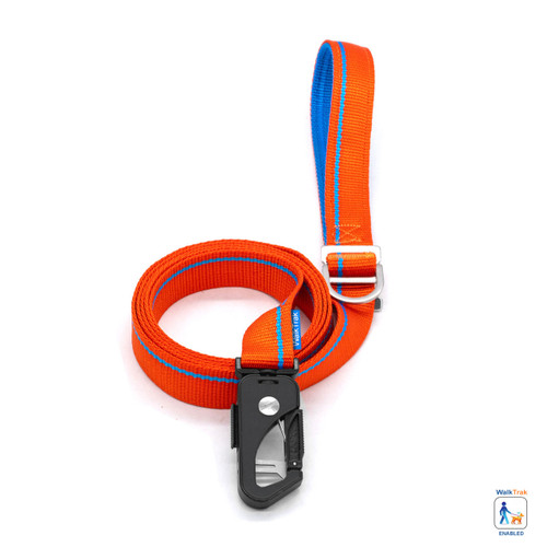 Tangerine Orange Leash