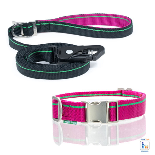 Raspberry  & Verde Color Combo