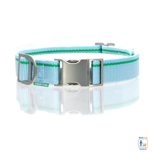 Narragansett & Sage Color Combo