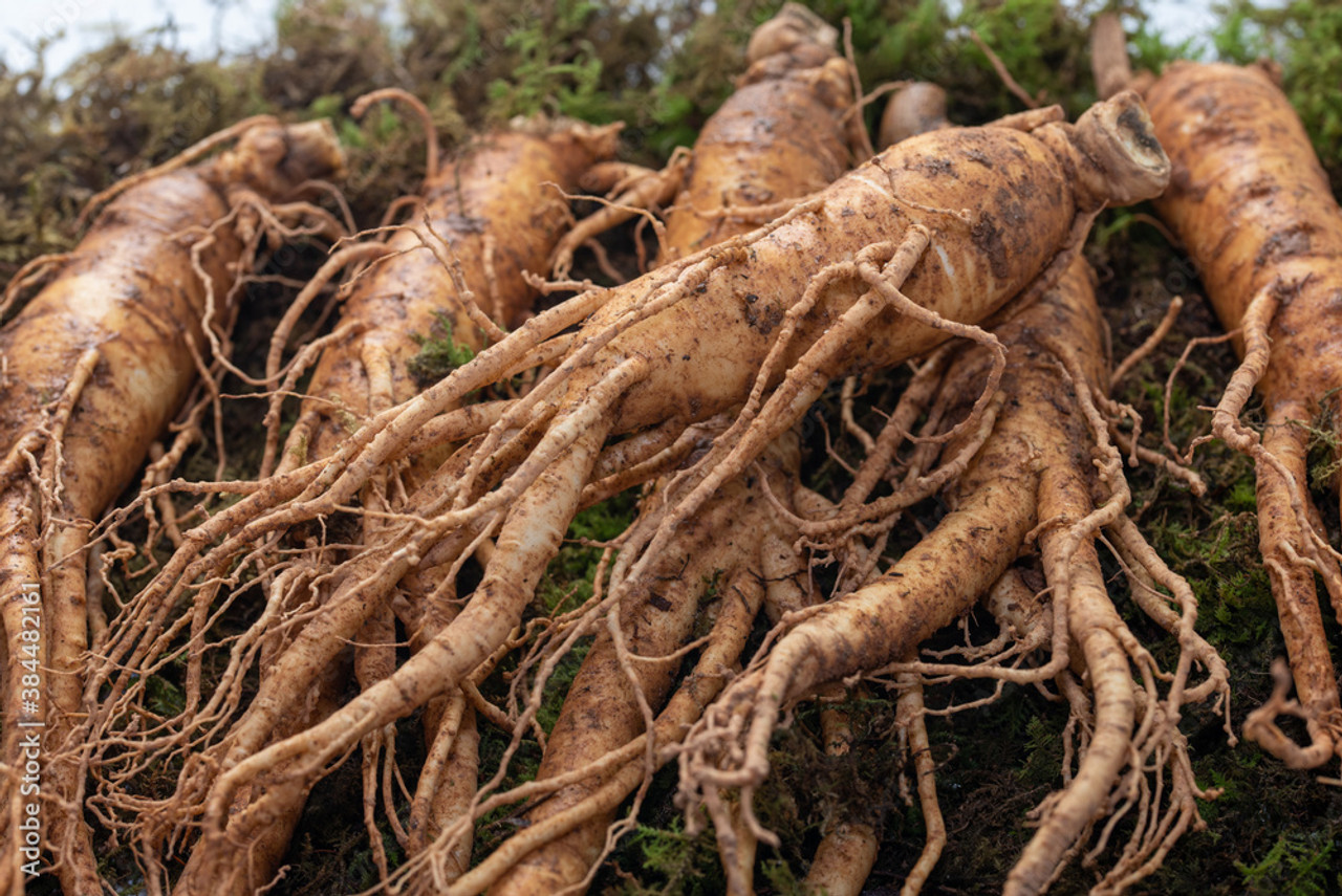 Adaptogenic Herbs Adaptogenic Herbs