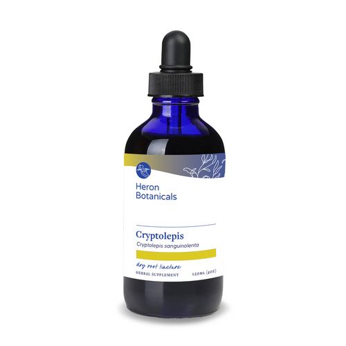 Cryptolepsis Root Liquid Extract
