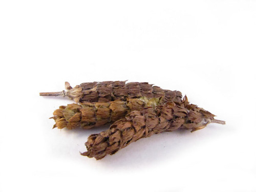 Xia Ku Cao - Prunellae Spica - US Grown -  1-lb