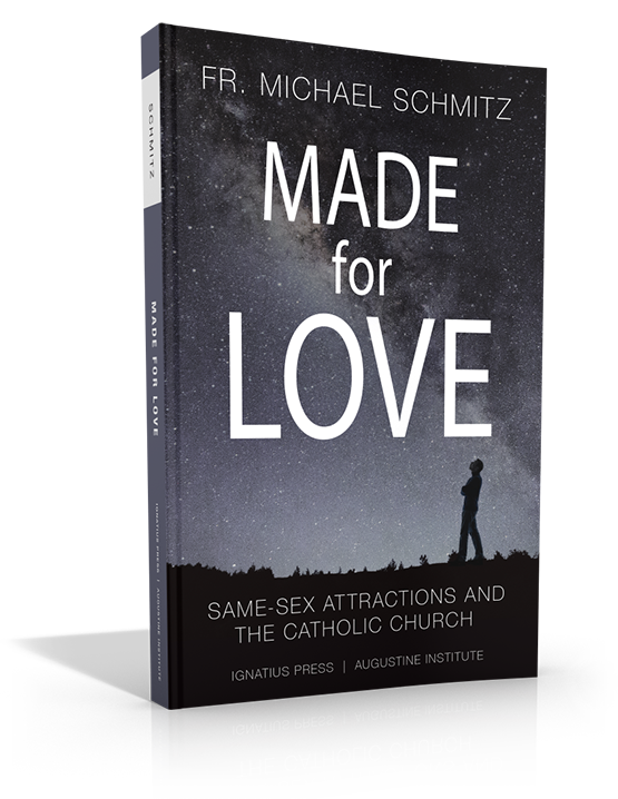 Made for Love: Same-Sex Attractions and the Catholic Church