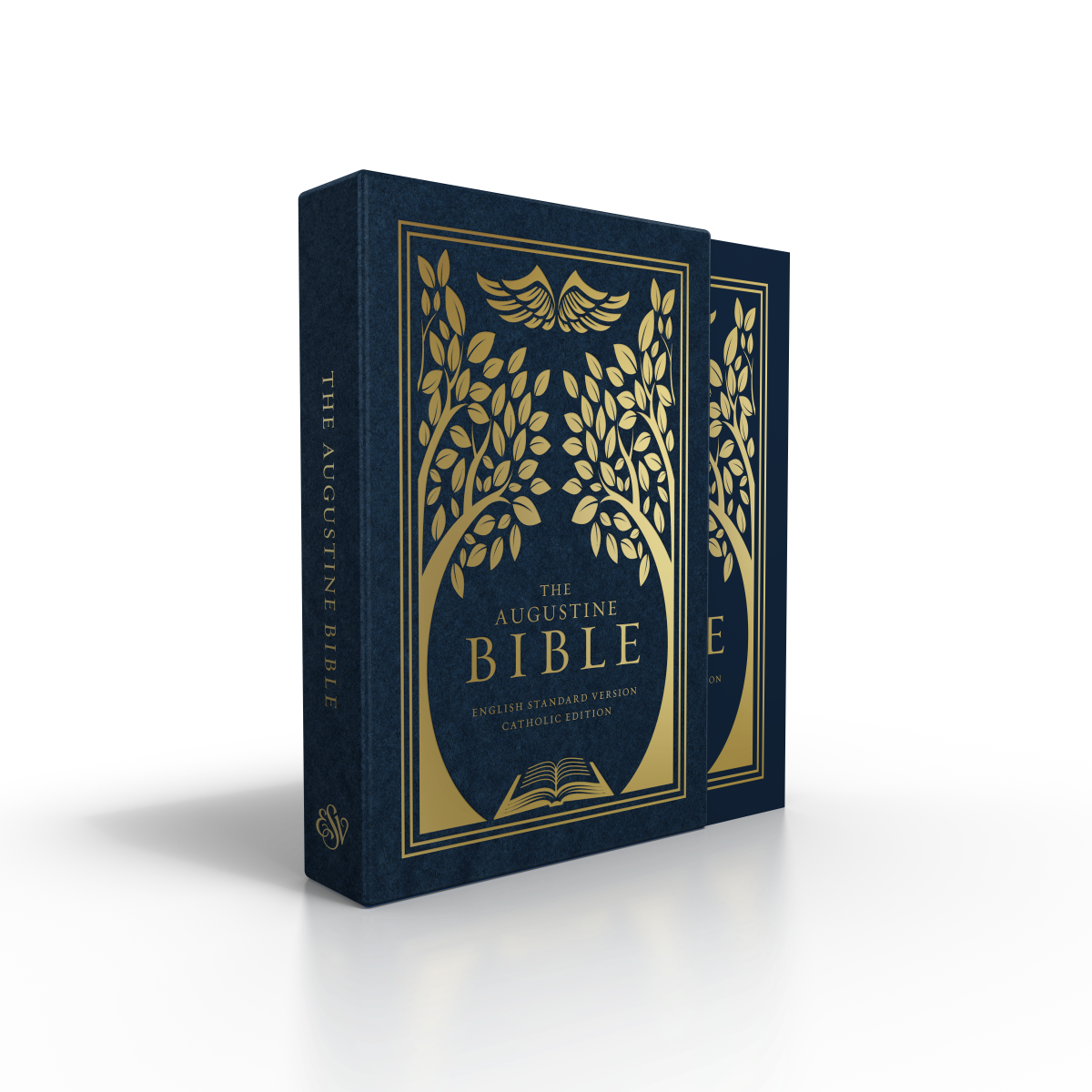 Best Catholic Bible The Augustine Bible