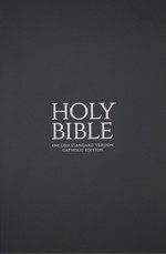 Gray Paperback Bible