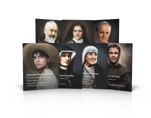 Signs of Grace - You Are Forgiven - Saint Prayer Cards (20-Packs of 7 Featured Saints)